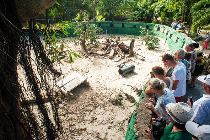 eco-exploration-golf-cart-adventure-and-catamaran-cruise