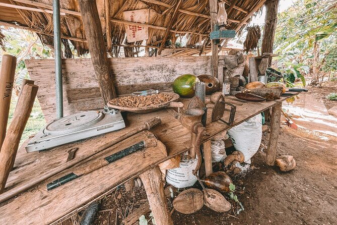 eco-tour-playa-el-limon-multi-activity-excursion