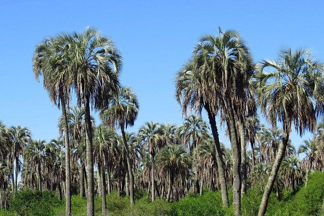 el-palmar-national-park-admission-ticket