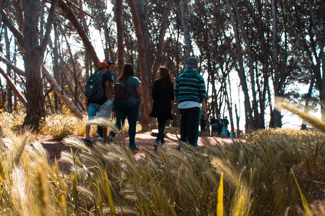 energy-forest-experience