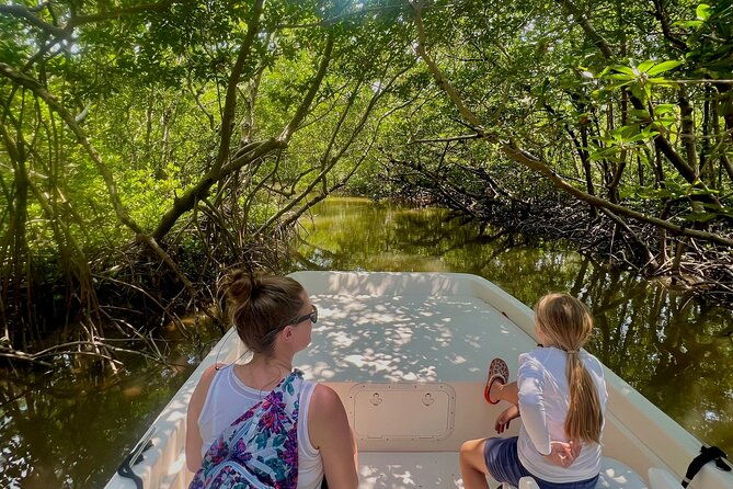 Everglades Mangrove Wilderness Boat Tour