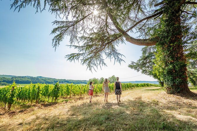 exceptional-visit-and-tasting-of-7-wines