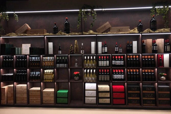 exclusive-bolgheri-from-florence-the-land-of-the-super-tuscan