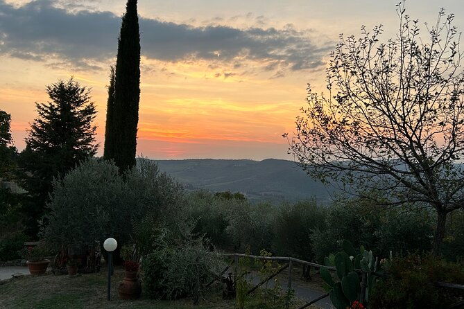 exclusive-chianti-classico-day-trip-from-florence-2