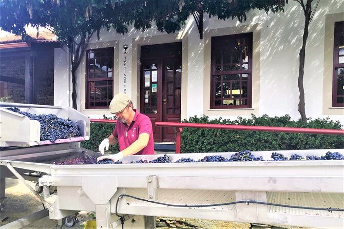 exclusive-tour-porto-douro-valley-wine-tasting-lunch-boat-tour