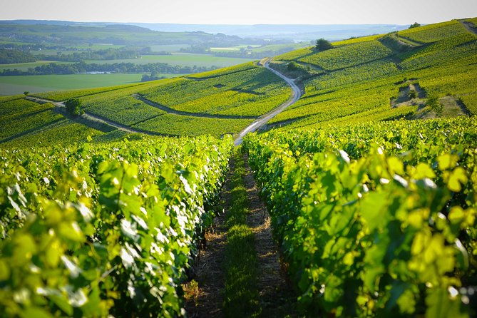 excursion-to-the-champagne-region-and-wine-tasting