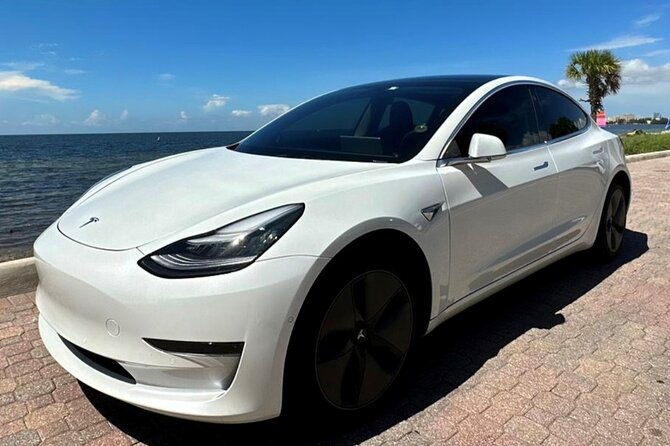 Explore Miami With a Private Driver