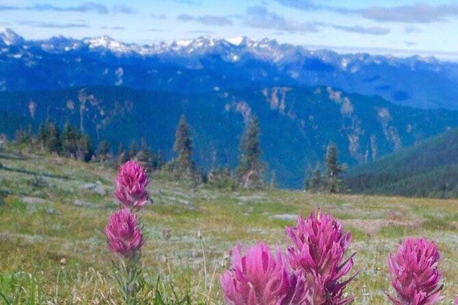 Explore Olympic National Park From Seattle Through Van /Ferry