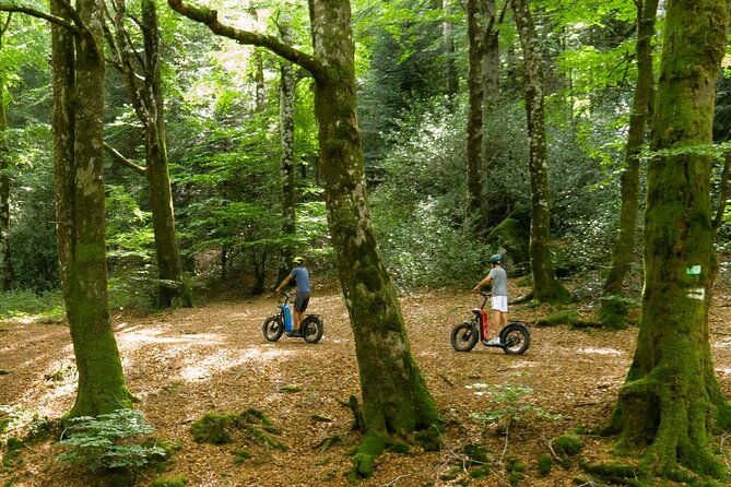 explore-the-forests-of-haut-languedoc-on-an-electric-scooter