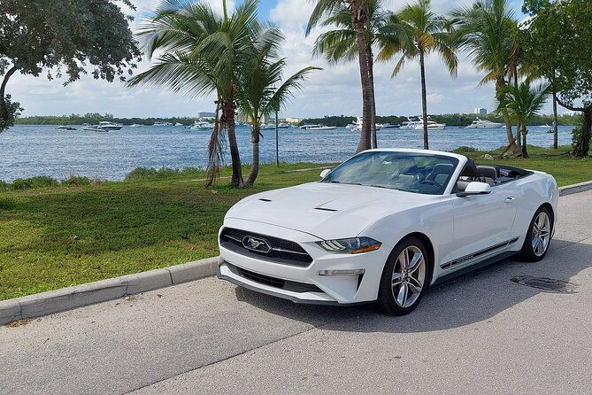 french-tour-of-miami-in-convertible-mustang