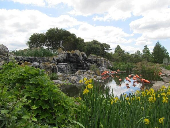 from-buenos-aires-temaiken-biopark-with-transfer-and-tickets