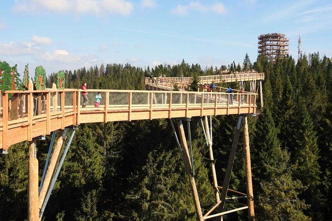 from-krakow-slovakia-treetop-walk-and-bachledka-ski