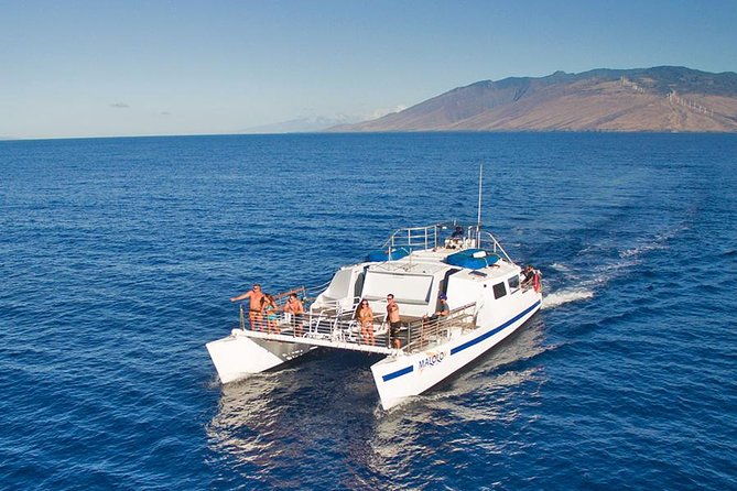 from-maalaea-harbor-whale-watch-cruise-aboard-the-malolo