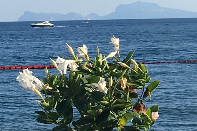 from-naples-pompeii-wine-tasting-private-day-tour