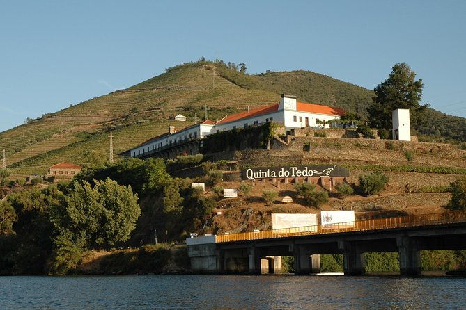 from-porto-private-tour-douro-valley-two-wineries-lunch-and-boat
