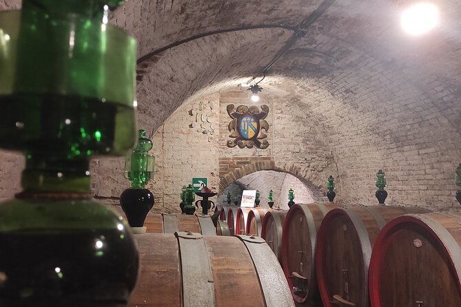 from-rome-private-day-tour-of-tuscany