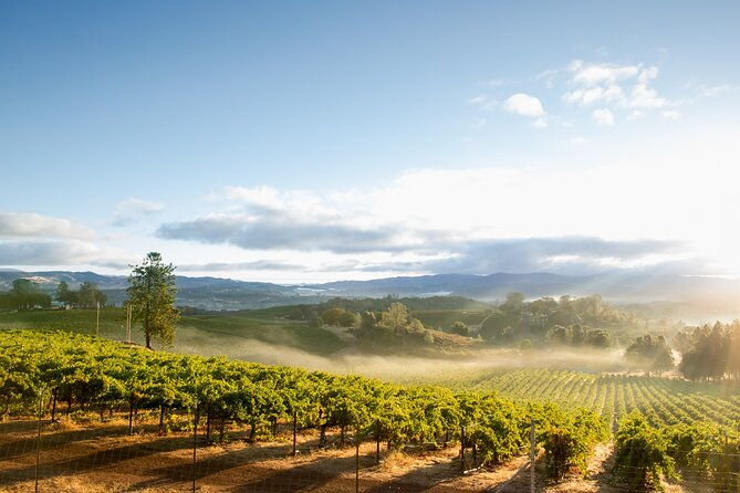 from-san-francisco-napa-sonoma-valley-wine-tour-with-tastings