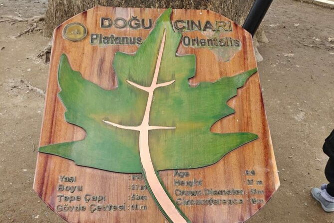 full-day-guided-tour-to-bursa-and-uludag