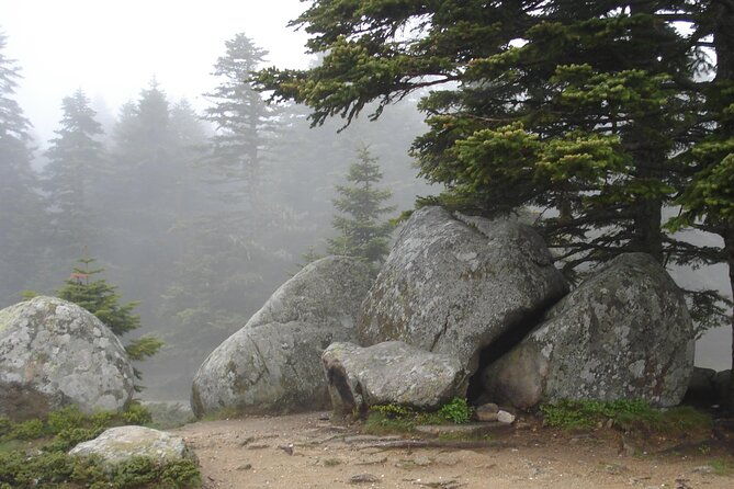 full-day-istanbul-to-bursa-excursion-with-cable-car