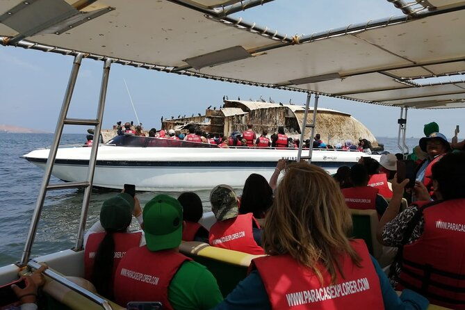 full-day-paracas-islas-ballestas-with-sandboarding-and-dune-buggy