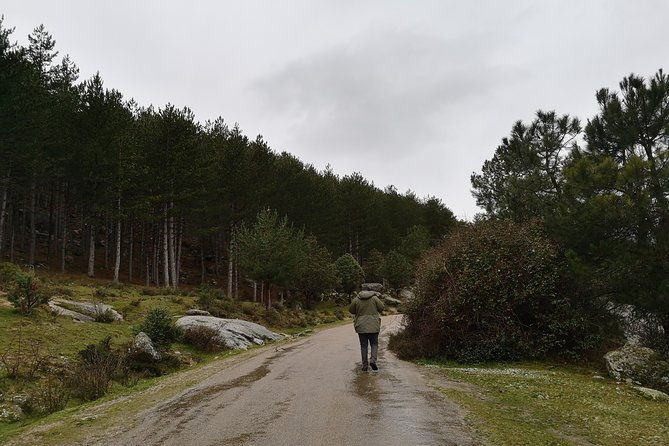 full-day-private-guided-tour-to-guadarrama-national-park