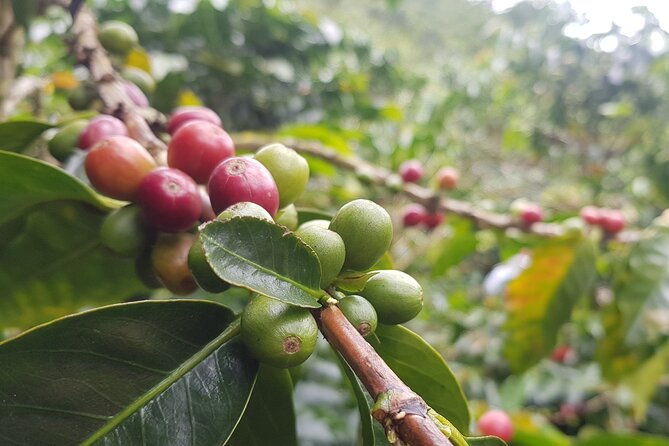 full-day-private-tour-to-guatape-and-el-penol