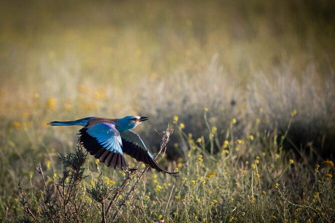 full-day-private-wilderness-tour-in-vashlovani-national-park-2