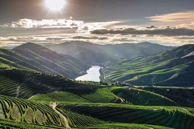 full-day-tour-to-douro-valley-from-porto
