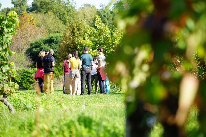 full-day-wine-tour-in-vouvray-and-chinon-with-lunch-at-the-winery