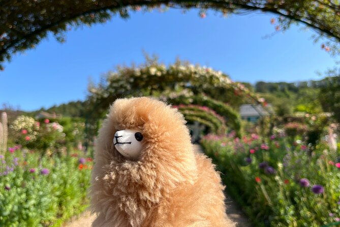 giverny-versailles-private-guided-tour-with-ticket-entry