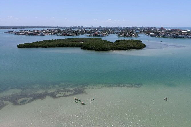 Glass Bottom Kayak Mangrove & Sandbar Adventure in St. Pete Beach