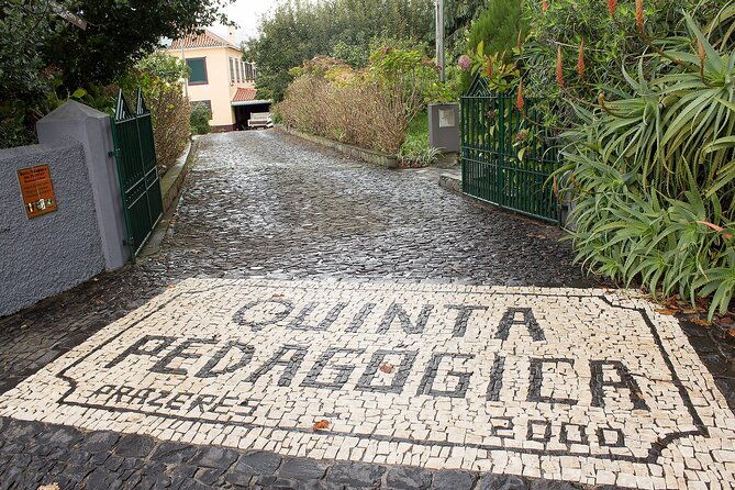 go-south-tour-madeira-island-excursion-3