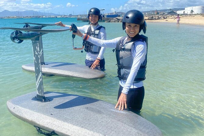 group-of-2-mid-length-efoil-experience-honolulu-hawaii