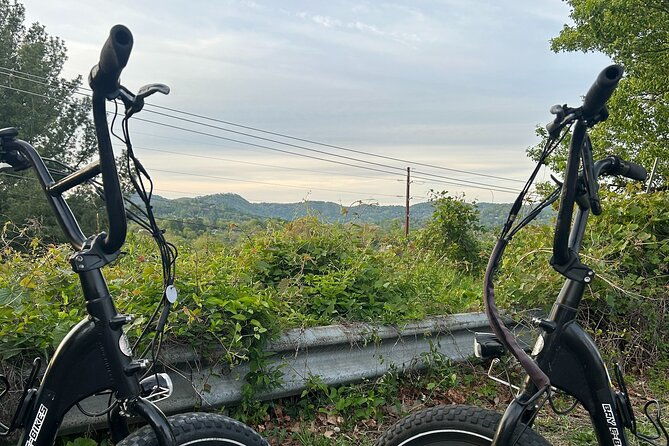 Guided Asheville E-bike Tour of River Arts, Mountains and Murals