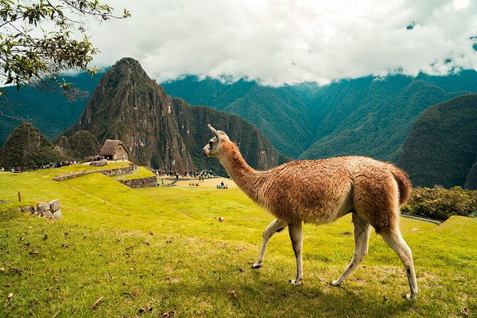 guided-full-day-tour-to-machupicchu