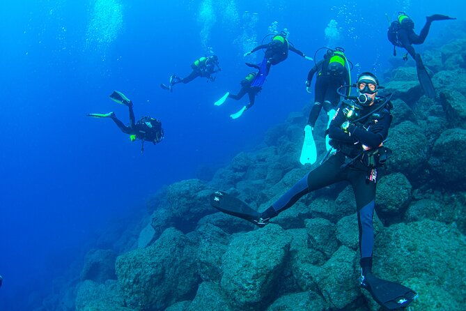 guided-immersion-from-santa-cruz-de-tenerife-2