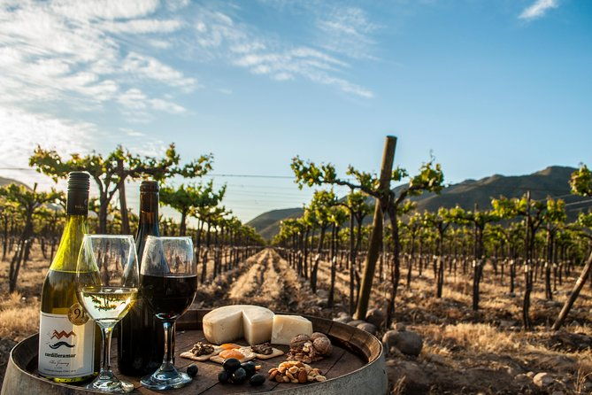 guided-tour-tasting-and-pairing-in-vina-choapa-salamanca-coquimbo-region