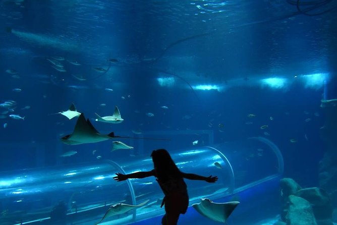 guided-tour-to-botanical-garden-and-lage-park