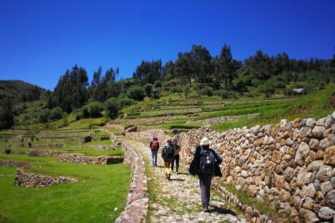half-day-acclimatization-hike-with-llamas-and-alpacas-in-cusco