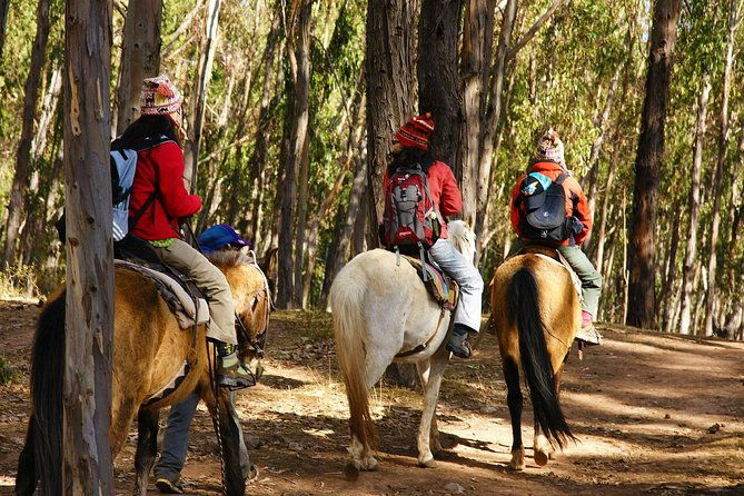 half-day-city-horse-riding-mistic-tour-group-service