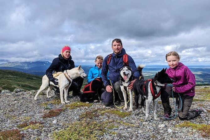 half-day-guided-walk-with-huskies