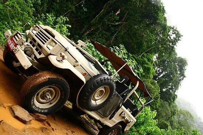 half-day-jeep-tour-in-rios-tijuca-rainforest-and-scenic