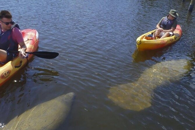 Half Day Kayak or SUP Rental (3hr) - Bunche Beach