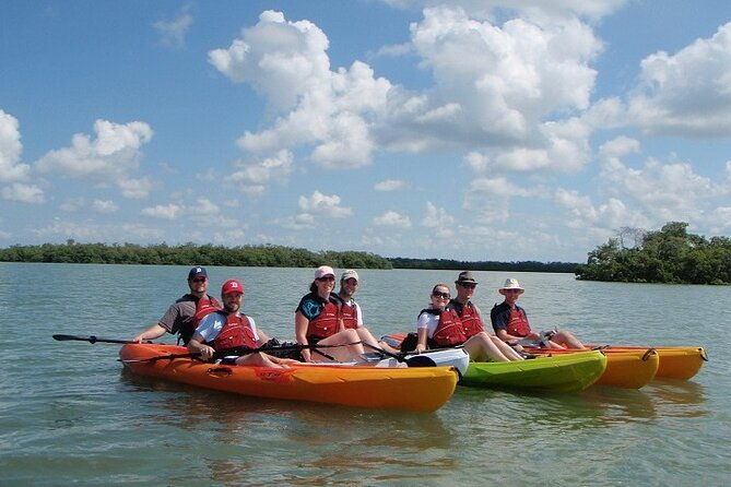 Half Day Kayak or SUP Rental (3hr) - Pelican Bay