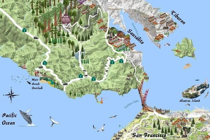 half-day-private-tour-of-muir-woods-sausalito-from-san-francisco