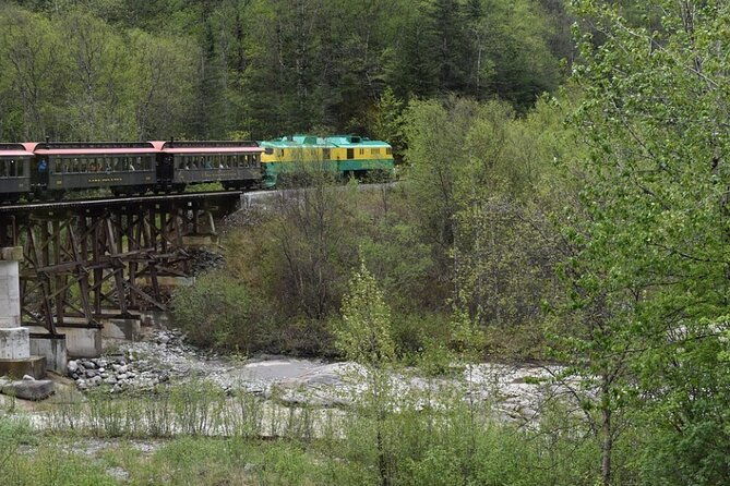 Half-Day Skagway City Tour and White Pass Summit Adventure