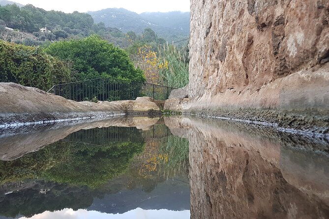 half-day-slingshot-tour-from-paguera-2