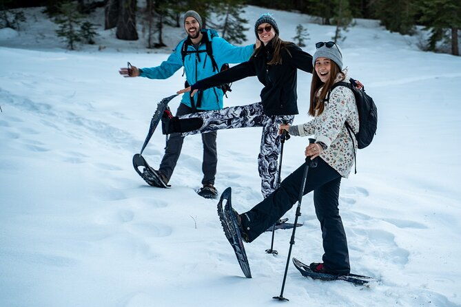 Half Day Snowshoe Hike in Tahoe National Forest
