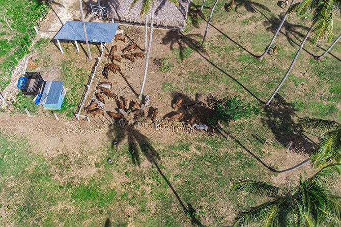 half-day-wild-district-experience-in-miches