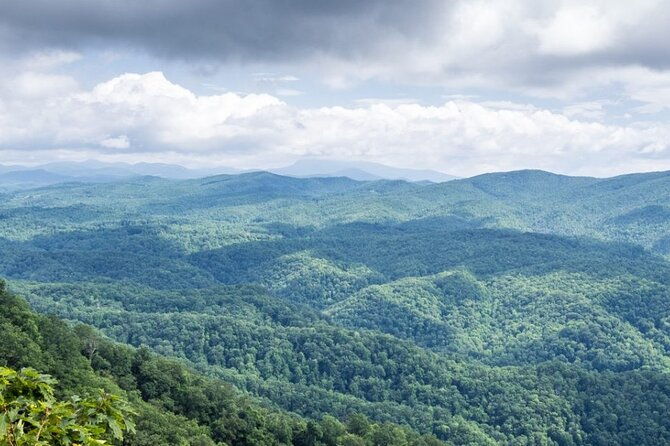Half-Day Wine Tastings in the North Georgia Mountains